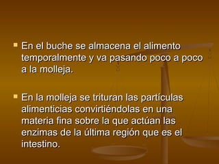    En el buche se almacena el alimento
    temporalmente y va pasando poco a poco
    a la molleja.

   En la molleja se trituran las partículas
    alimenticias convirtiéndolas en una
    materia fina sobre la que actúan las
    enzimas de la última región que es el
    intestino.
 