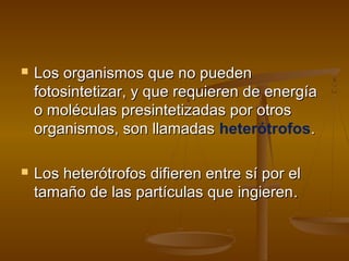    Los organismos que no pueden
    fotosintetizar, y que requieren de energía
    o moléculas presintetizadas por otros
    organismos, son llamadas heterótrofos.

   Los heterótrofos difieren entre sí por el
    tamaño de las partículas que ingieren .
 