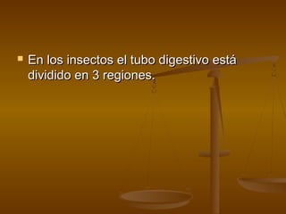    En los insectos el tubo digestivo está
    dividido en 3 regiones.
 