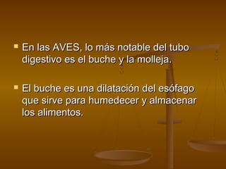    En las AVES, lo más notable del tubo
    digestivo es el buche y la molleja.

   El buche es una dilatación del esófago
    que sirve para humedecer y almacenar
    los alimentos.
 