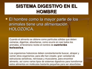 SISTEMA DIGESTIVO EN EL
                 HOMBRE
   El hombre como la mayor parte de los
    animales tiene una alimentación
    HOLOZOICA.

    Cuando el alimento se obtiene como partículas sólidas que deben
    comerse, digerirse, absorberse, como ocurre en casi todos los
    animales, el fenómeno recibe el nombre de nutrición
    holozoica.

    Los organismos holozoicos deben constantemente buscar, atrapar y
    comer otros organismos; para ello han creado. gran variedad de
    estructuras sensitivas, nerviosas y musculares, para encontrar
    alimento, así como varios tipos de sistemas digestivos para transformar
    estos alimentos en moléculas bastante pequeñas para ser absorbidas..
 