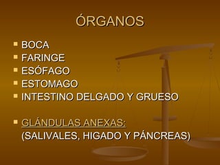 ÓRGANOS
   BOCA
   FARINGE
   ESÓFAGO
   ESTOMAGO
   INTESTINO DELGADO Y GRUESO

   GLÁNDULAS ANEXAS:
    (SALIVALES, HIGADO Y PÁNCREAS)
 