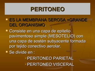 PERITONEO
   ES LA MEMBRANA SEROSA +GRANDE
    DEL ORGANISMO.
   Consiste en una capa de epitelio
    pavimentoso simple (MESOTELIO) con
    una capa de sostén subyacente formada
    por tejido conectivo aerolar.
   Se divide en :
              PERITONEO PARIETAL

              PERITONEO VISCERAL
 