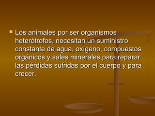    Los animales por ser organismos
    heterótrofos, necesitan un suministro
    constante de agua, oxígeno, compuestos
    orgánicos y sales minerales para reparar
    las pérdidas sufridas por el cuerpo y para
    crecer.
 