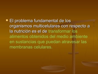    El problema fundamental de los
    organismos multicelulares con respecto a
    la nutrición es el de transformar los
    alimentos obtenidos del medio ambiente
    en sustancias que puedan atravesar las
    membranas celulares.
 