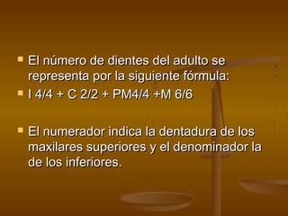    El número de dientes del adulto se
    representa por la siguiente fórmula:
   I 4/4 + C 2/2 + PM4/4 +M 6/6

   El numerador indica la dentadura de los
    maxilares superiores y el denominador la
    de los inferiores.
 
