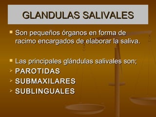GLANDULAS SALIVALES
   Son pequeños órganos en forma de
    racimo encargados de elaborar la saliva.

   Las principales glándulas salivales son;
   PAROTIDAS
   SUBMAXILARES
   SUBLINGUALES
 