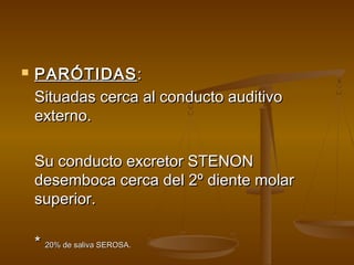    PARÓTIDAS :
    Situadas cerca al conducto auditivo
    externo.

    Su conducto excretor STENON
    desemboca cerca del 2º diente molar
    superior.

    * 20% de saliva SEROSA.
 
