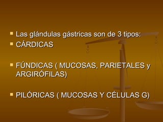    Las glándulas gástricas son de 3 tipos:
   CÁRDICAS

   FÚNDICAS ( MUCOSAS, PARIETALES y
    ARGIRÓFILAS)

   PILÓRICAS ( MUCOSAS Y CÉLULAS G)
 