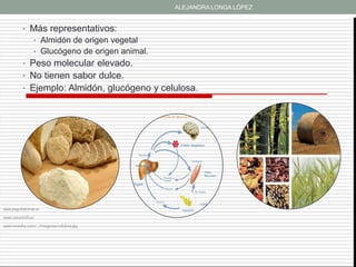ALEJANDRA LONGA LÓPEZ


          • Más representativos:
                • Almidón de origen vegetal
                • Glucógeno de origen animal.
          • Peso molecular elevado.
          • No tienen sabor dulce.
          • Ejemplo: Almidón, glucógeno y celulosa.




www.paquitatomas.es

www.cancerinfo.es

www.movelsa.com/.../Imagenes/celulosa.jpg
 