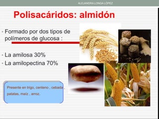 ALEJANDRA LONGA LÓPEZ




      Polisacáridos: almidón
• Formado por dos tipos de
 polímeros de glucosa :

• La amilosa 30%
• La amilopectina 70%



  Presente en trigo, centeno , cebada ,
  patatas, maíz , arroz,
 