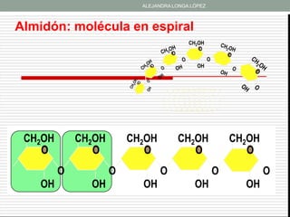 ALEJANDRA LONGA LÓPEZ



Almidón: molécula en espiral
                                          CH2OH
                                             O
                                                   O
                                             OH




 CH2OH       CH2OH       CH2OH        CH2OH                CH2OH
    O           O           O            O                    O
         O           O           O                     O           O
    OH         OH          OH               OH               OH
 