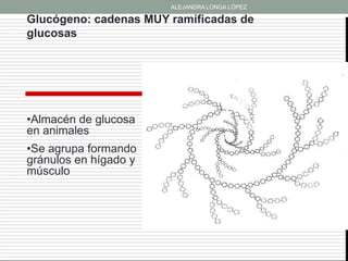 ALEJANDRA LONGA LÓPEZ

Glucógeno: cadenas MUY ramificadas de
glucosas




•Almacén de glucosa
en animales
•Se agrupa formando
gránulos en hígado y
músculo
 