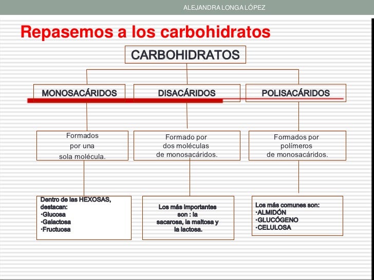 Biologia carbohidratos