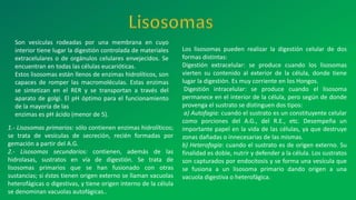 Son vesículas rodeadas por una membrana en cuyo
interior tiene lugar la digestión controlada de materiales
extracelulares o de orgánulos celulares envejecidos. Se
encuentran en todas las células eucarióticas.
Estos lisosomas están llenos de enzimas hidrolíticos, son
capaces de romper las macromoléculas. Estas enzimas
se sintetizan en el RER y se transportan a través del
aparato de golgi. El pH óptimo para el funcionamiento
de la mayoría de las
enzimas es pH ácido (menor de 5).
1.- Lisosomas primarios: sólo contienen enzimas hidrolíticos;
se trata de vesículas de secreción, recién formadas por
gemación a partir del A.G.
2.- Lisosomas secundarios: contienen, además de las
hidrolasas, sustratos en vía de digestión. Se trata de
lisosomas primarios que se han fusionado con otras
sustancias; si éstas tienen origen externo se llaman vacuolas
heterofágicas o digestivas, y tiene origen interno de la célula
se denominan vacuolas autofágicas..
Los lisosomas pueden realizar la digestión celular de dos
formas distintas:
Digestión extracelular: se produce cuando los lisosomas
vierten su contenido al exterior de la célula, donde tiene
lugar la digestión. Es muy corriente en los Hongos.
Digestión intracelular: se produce cuando el lisosoma
permanece en el interior de la célula, pero según de donde
provenga el sustrato se distinguen dos tipos:
a) Autofagia: cuando el sustrato es un constituyente celular
como porciones del A.G., del R.E., etc. Desempeña un
importante papel en la vida de las células, ya que destruye
zonas dañadas o innecesarias de las mismas.
b) Heterofagia: cuando el sustrato es de origen externo. Su
finalidad es doble, nutrir y defender a la célula. Los sustratos
son capturados por endocitosis y se forma una vesícula que
se fusiona a un lisosoma primario dando origen a una
vacuola digestiva o heterofágica.
 