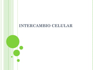 INTERCAMBIO CELULAR
 