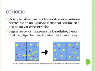 OSMOSIS
 Es el paso de solvente a través de una membrana
permeable de un lugar de menor concentración a
uno de mayor concentración.
 Según las concentraciones de los solutos, existen
medios : Hipertónicos, Hipotónicos e Isotónicos.
 