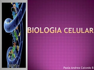 BIOLOGIA CELULAR Paola Andrea Caicedo B 