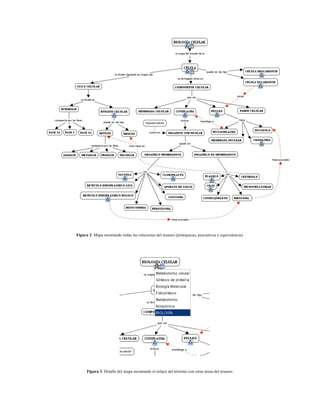 Figura 2. Mapa mostrando todas las relaciones del tesauro (jerárquicas, asociativas y equivalencia).




      Figura 3. Detalle del mapa mostrando el enlace del término con otras áreas del tesauro.
 
