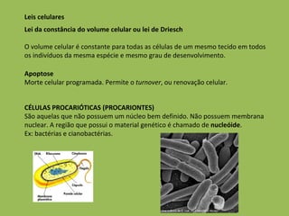 Leis celulares Lei da constância do volume celular ou lei de Driesch O volume celular é constante para todas as células de um mesmo tecido em todos os indivíduos da mesma espécie e mesmo grau de desenvolvimento. Apoptose Morte celular programada. Permite o  turnover , ou renovação celular.  CÉLULAS PROCARIÓTICAS (PROCARIONTES) São aquelas que não possuem um núcleo bem definido. Não possuem membrana nuclear. A região que possui o material genético é chamado de  nucleóide . Ex: bactérias e cianobactérias. 