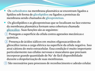  Os carboidratos na membrana plasmática se encontram ligados a
  lipídios sob forma de glicolipídios ou ligados a proteínas da
  membrana sendo chamados de glicoproteínas.
 Os glicolipídios e as glicoproteínas que se localizam na face externa
 da membrana plasmática formam uma cobertura chamada
 glicocálice. Suas funções são as seguintes:
① Protegem a superfície da célula contra agressões mecânicas e
 químicas.
② Presença de ácidos siálicos em muitos oligossacarídeos do
 glicocálice torna a carga elétrica na superfície da célula negativa. Isso
 atrai cátions do meio extracelular. Essa condição é muito importante
 particularmente nas células nervosas e musculares que precisam
 incorporar grande quantidade de Na⁺ de fácil disponibilidade
 durante a despolarização de suas membranas.
③ São necessários para processos de reconhecimento e adesão celular.
 