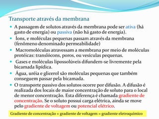 Transporte através da membrana
 A passagem de solutos através da membrana pode ser ativa (há
    gasto de energia) ou passiva (não há gasto de energia).
    Íons, e moléculas pequenas passam através da membrana
    (fenômeno denominado permeabilidade)
    Macromoléculas atravessam a membrana por meio de moléculas
    protéicas: translócons, poros, ou vesículas pequenas.
    Gases e moléculas lipossolúveis difundem-se livremente pela
    bicamada lipídica.
    Água, uréia e glicerol são moléculas pequenas que também
    conseguem passar pela bicamada.
   O transporte passivo dos solutos ocorre por difusão. A difusão é
    realizada dos locais de maior concentração de soluto para o local
    de menor concentração. Esta diferença é chamada gradiente de
    concentração. Se o soluto possui carga elétrica, ainda se move
    pelo gradiente de voltagem ou potencial elétrico.
Gradiente de concentração + gradiente de voltagem = gradiente eletroquímico
 
