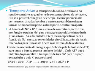  Transporte Ativo: O transporte do soluto é realizado no
  sentido contrário ao gradiente de concentração ou de voltagem,
  isto só é possível com gasto de energia. Ocorre por meio das
  permeases chamadas bombas e neste caso também existem
  formas de monotransporte, cotransporte e contratransporte.
 A bomba de Na⁺ e K⁺ é um sistema de contratransporte e tem
  por função expulsar Na⁺ para o espaço extracelular e introduzir
  K⁺ no citosol. As subunidades α tem locais específicos para a
  fixação do Na⁺ em suas extremidades citosólicas, além de locais
  reservados para fixação de K⁺ em suas extremidades externas.
 O sistema necessita de energia, que é obtida pela hidrólise de ATP,
  para tanto a bomba precisa também de Mg²⁺. Cada ATP que é
  hidrolisado possibilita o transporte de três Na⁺ para o espaço
  extracelular e dois K⁺ para o citosol.
 3Na⁺i + 2K⁺e + ATP          3Na⁺e +2K⁺i + ADP + P
  Onde os subescritos i e e indicam respectivamente, intracelular e extracelular
 