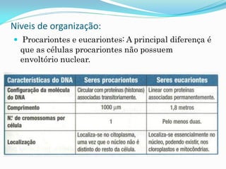 Niveis de organização:
 Procariontes e eucariontes: A principal diferença é
  que as células procariontes não possuem
  envoltório nuclear.
 
