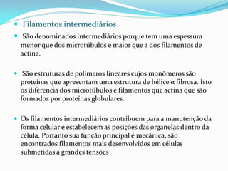  Filamentos intermediários
 São denominados intermediários porque tem uma espessura
  menor que dos microtúbulos e maior que a dos filamentos de
  actina.

 São estruturas de polímeros lineares cujos monômeros são
  proteínas que apresentam uma estrutura de hélice α fibrosa. Isto
  os diferencia dos microtúbulos e filamentos que actina que são
  formados por proteínas globulares.

 Os filamentos intermediários contribuem para a manutenção da
  forma celular e estabelecem as posições das organelas dentro da
  célula. Portanto sua função principal é mecânica, são
  encontrados filamentos mais desenvolvidos em células
  submetidas a grandes tensões
 
