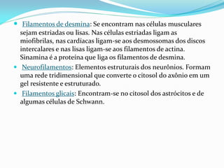  Filamentos de desmina: Se encontram nas células musculares
  sejam estriadas ou lisas. Nas células estriadas ligam as
  miofibrilas, nas cardíacas ligam-se aos desmossomas dos discos
  intercalares e nas lisas ligam-se aos filamentos de actina.
  Sinamina é a proteína que liga os filamentos de desmina.
 Neurofilamentos: Elementos estruturais dos neurônios. Formam
  uma rede tridimensional que converte o citosol do axônio em um
  gel resistente e estruturado.
 Filamentos glicais: Encontram-se no citosol dos astrócitos e de
  algumas células de Schwann.
 