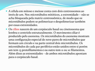  A célula em mitose e meiose conta com dois centrossomos ao
  invés de um. Nos microtúbulos mitóticos, a extremidade – não se
  acha bloqueada pela matriz centrossômica, de modo que os
  microtúbulos podem se polimerizar e despolimerizar também
  por essas extremidades.
 Os cílios nascem de um corpúsculo basal ou cinetossoma que
  lembra o centríolo estruturalmente. O movimento ciliar é
  produzido pelo axonema. Os microtúbulos do axonema mostram
  uma configuração especial de nove pares de microtúbulos que
  formam um círculo e na parte central dois microtúbulos. Os
  microtúbulos de cada par periférico estão unidos entre si porém
  um tem 13 protofilamentos e ou outro tem 11 ou 10 filamentos.
  Além disso as extremidades – de ambos microtúbulos apontam
  para o corpúsculo basal.
 