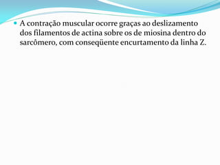  A contração muscular ocorre graças ao deslizamento
 dos filamentos de actina sobre os de miosina dentro do
 sarcômero, com conseqüente encurtamento da linha Z.
 