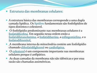  Estrutura das membranas celulares:

 A estrutura básica das membranas corresponde a uma dupla
    camada lipídica. Os lipídios fundamentais são fosfolipídios de
    tipos distintos e colesterol.
    O fosfolipídio predominante nas membranas celulares é a
    fosfatidilcolina. Em seguida nessa ordem estão a
    fosfatidiletanolamina, a fosfatidilserina, a esfingomielina, e o
    fosfatodilinositol.
    A membrana interna da mitocôndria contém um fosfolipídio
    chamado difosfatidilglicerol ou cardiolipina.
    O colesterol é um componente importante nas membranas
    celulares porque é anfipático.
    As duas camadas da membrana não são idênticas e por essa
    razão são chamadas assimétricas.
 
