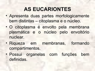 AS EUCARIONTES
• Apresenta duas partes morfologicamente
  bem distintas – citoplasma e o núcleo.
• O citoplasma é envolto pela membrana
  plasmática e o núcleo pelo envoltório
  nuclear.
• Riqueza em membranas, formando
  compartimentos.
• Possui organelas com funções bem
  definidas.
 