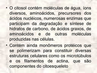 • O citosol contém moléculas de água, íons
  diversos, aminoácidos, precursores dos
  ácidos nucléicos, numerosas enzimas que
  participam da degradação e síntese de
  hidratos de carbono, de ácidos graxos, de
  aminoácidos e de outras moléculas
  produzidas nas células.
• Contém ainda monômeros protéicos que
  se polimerizam para constituir diversas
  estruturas celulares como os microtúbulos
  e os filamentos de actina, que são
  componentes do citoesqueleto
 