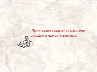 Agora vamos conhecer as estruturas
celulares e suas características
 