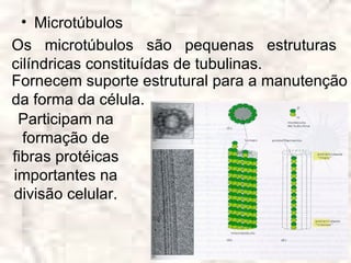 • Microtúbulos
Os microtúbulos são pequenas estruturas
cilíndricas constituídas de tubulinas.
Fornecem suporte estrutural para a manutenção
da forma da célula.
 Participam na
  formação de
fibras protéicas
importantes na
divisão celular.
 