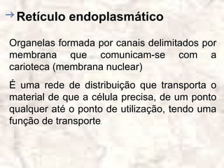Retículo endoplasmático

Organelas formada por canais delimitados por
membrana que comunicam-se com a
carioteca (membrana nuclear)
É uma rede de distribuição que transporta o
material de que a célula precisa, de um ponto
qualquer até o ponto de utilização, tendo uma
função de transporte.
 