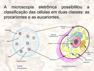A microscopia eletrônica possibilitou a
classificação das células em duas classes: as
procariontes e as eucariontes.
                                                 Membrana
                                                  celular
Metabólito


                                   Retículo
                                endoplasmático


   DNA
                                Núcleo




                                                                          Complexo de
                                                                             golgi
     RNA

                                 Ribossomo                                Mitocôndria
             Proteína solúvel
                                                                        Lisossomo


              Célula                               Célula Eucariótica
              Procariótica
 