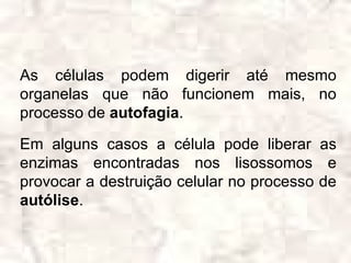 As células podem digerir até mesmo
organelas que não funcionem mais, no
processo de autofagia.

Em alguns casos a célula pode liberar as
enzimas encontradas nos lisossomos e
provocar a destruição celular no processo de
autólise.
 