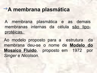 A membrana plasmática

A membrana plasmática e as demais
membranas internas da célula são lipo-
protéicas.
Ao modelo proposto para a estrutura da
membrana deu-se o nome de Modelo do
Mosaico Fluido, proposto em 1972 por
Singer e Nicolson.
 