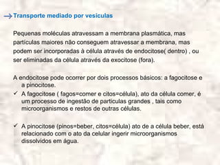 Transporte mediado por vesículas

Pequenas moléculas atravessam a membrana plasmática, mas
partículas maiores não conseguem atravessar a membrana, mas
podem ser incorporadas à célula através de endocitose( dentro) , ou
ser eliminadas da célula através da exocitose (fora).

A endocitose pode ocorrer por dois processos básicos: a fagocitose e
   a pinocitose.
 A fagocitose ( fagos=comer e citos=célula), ato da célula comer, é
   um processo de ingestão de particulas grandes , tais como
   microorganismos e restos de outras células.

 A pinocitose (pinos=beber, citos=célula) ato de a célula beber, está
  relacionado com o ato da celular ingerir microorganismos
  dissolvidos em água.
 