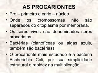 AS PROCARIONTES
• Pro – primeiro e cario – núcleo
• Onde os cromossomas não são
  separados do citoplasma por membrana.
• Os seres vivos são denominados seres
  procariotas.
• Bactérias (cianofíceas ou algas azuis,
  também são bactérias)
• O procarionte mais estudado é a bactéria
  Escherichia Coli, por sua simplicidade
  estrutural e rapidez na multiplicação.
 