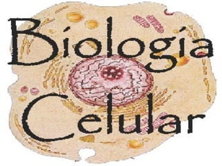 Biologia Celular