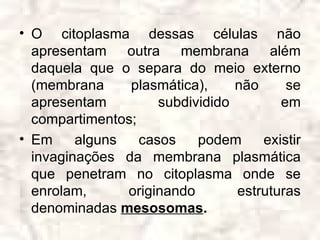 • O citoplasma dessas células não
  apresentam outra membrana além
  daquela que o separa do meio externo
  (membrana     plasmática),     não     se
  apresentam         subdividido        em
  compartimentos;
• Em     alguns   casos    podem     existir
  invaginações da membrana plasmática
  que penetram no citoplasma onde se
  enrolam,      originando       estruturas
  denominadas mesosomas.
 