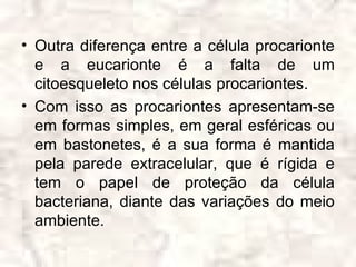 • Outra diferença entre a célula procarionte
  e a eucarionte é a falta de um
  citoesqueleto nos células procariontes.
• Com isso as procariontes apresentam-se
  em formas simples, em geral esféricas ou
  em bastonetes, é a sua forma é mantida
  pela parede extracelular, que é rígida e
  tem o papel de proteção da célula
  bacteriana, diante das variações do meio
  ambiente.
 