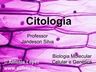 Citologia
  Professor
Jandeson Silva


             Biologia Molecular
             Celular e Genética
 