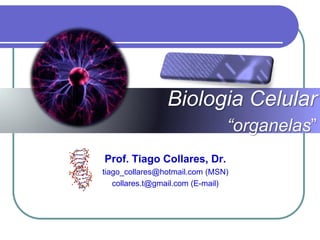 Biologia Celular
“organelas”
Prof. Tiago Collares, Dr.
tiago_collares@hotmail.com (MSN)
collares.t@gmail.com (E-mail)
 