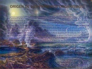 ORIGEN DE LOS PRIMEROS ORGANISMOS
 Los primeros organismos fueron Bacterias HETERÓTROFAS, ANAEROBIA y PROCARIOTAS. Luego, cuando el O2 puso quedar
libre, aparecieron las Bacterias AUTÓTROFAS, AEROBIAS y EUCARIOTAS. OPARÍN, afirma que en un comienzo, la Tierra era
una masa incandescente, la cual se enfrió con lentitud a través de millones de años. Al ENFRIARSE la Tierra, se formó la parte
sólida con gran contenido de volcanes, los que expulsaron por millones de años materiales sobre la superficie. Junto con éstos, se
liberaron a la atmósfera primitiva Gases. La atmósfera primitiva carecía de O2, gas Carbónico y Nitrógeno, pero contenía
abundante cantidad de Hidrógeno, Metano, Amoníaco (gases nocivos para cualquier organismo) y Vapor de agua. Las Radiaciones
de alta energía procedentes del Sol, incidieron sobre la mezcla anterior, dando lugar a la formación de moléculas orgánicas. El
Vapor de agua al descender a las partes frías de la atmósfera cambió al estado líquido, precipitándose en forma de lluvia, la que al
caer, sobre las Rocas aún calientes, se evaporó, repitiéndose este ciclo durante mucho tiempo. Las lluvias arrastraron en su
recorrido los compuestos orgánicos, los que se depositaron junto con el agua en las partes Además existe una Teoría, llamada
TEORÍA ENDOSIMBIÓTICA bajas. De esta manera se formaron los OCÉANOS PRIMITIVOS cuya característica principal fue la de
conformar un verdadero CALDO NUTRITIVO o SOPA PRIMITIVA que serviría de alimento a los primeros seres vivos. Oparin
sostiene, que es más probable la hipótesis HETERÓTROFA, es decir la aparición de organismos muy simples que subsistieron en
la SOPA PRIMITIVA. Los compuestos orgánicos presentes en los Océanos Primitivos tenían más posibilidad de permanecer
inalterados, puesto que el agua los protegía de las radiaciones solares. El agua y las altas temperaturas existentes en estos
océanos, propiciaron el medio adecuado para que las sencillas moléculas orgánicas evolucionaran químicamente hacia otras más
complejas.
Además existe una Teoría, llamada TEORÍA ENDOSIMBIÓTICA que sostiene que un organismo unicelular de tipo procariota
(bacteria aerobia o Fotótrofa) ha sido engullida en un Huésped que sería una célula eucariota superior realizando Simbiosis con
ella, con el tiempo y por evolución celular estas bacterias quedarían transformadas en Mitocondrias (bacterias aerobias) y en
Cloroplastos (bacterias Fotótrofas), no tiene que ver con la evolución de las algas sino con la aparición de Mitocondrias y
cloroplastos, los 2 organelos membranosos que se encuentran únicamente en células eucariotas poseen ADN de tipo procariota,
ARN y Ribosomas dentro del mismo, pero la Teoría Endosimbiótica es mas aplicada en las Mitocondrias porque aparte de poseer
1sola molécula de ADN de tipo Procariota, ARN y Ribosomas en el lado interno de las "Crestas Mitocondriales que son
proyecciones incompletas hacia la Matriz mitocondrial de la membrana interna" esta la Cadena Oxidativa, respiratoria o de
transporte de electrones, esta cadena no esta en cloroplastos, entonces se cree que por evolución celular, las bacterias aerobias
que habían sido incorporadas quedaron reducidas a Vestigios celulares de la misma, la presencia de ADN procariota el cual se
encuentra compactado y plegado dentro de las mitocondrias y cloroplastos, la presencia de ARN, Ribosomas y mas exactamente
en las mitocondrias la presencia de la Cadena Oxidativa aseguran o dan prueba que las Mitocondrias han sido el resultado de la
Endosimbiosis de una bacteria aerobia con una célula superior, "el ADN de tipo procariota, los 3 tipos de ARN, los Ribosomas y la
 