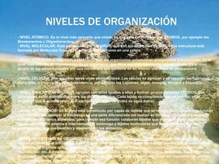 NIVELES DE ORGANIZACIÓN
 - NIVEL ATÓMICO: Es el nivel más pequeño que existe, ya que está conformado por ÁTOMOS, por ejemplo los
Bioelementos u Oligoelementos.
- NIVEL MOLECULAR: Está constituido por los VIRUS, que son los seres más simples, cuya estructura está
formada por Moléculas Orgánicas, no organizadas como en una célula.

- NIVEL ACELULAR O PROTOPLASMÁTICO: Son los organismos unicelulares procariontes y eucariontes. Es el
nivel más sencillo de organización de un organismo, que lleva una vida totalmente independiente. Es el nivel
propio de los seres formados por una membrana que contiene en su interior una masa de protoplasma
 ..
- NIVEL CELULAR: Son aquellos seres vivos pluricelulares. Las células se agrupan y se reparten las funciones
entre ellas, conservando su independencia, por ejemplo los Líquenes, algas, musgos, Hongos y Esponjas.

- NIVEL TISULAR: Las células se agrupan con otras iguales a ellas y forman grupos llamados TEJIDOS. Las
actividades están distribuidas entre los distintos tejidos. Cada tejido va cumpliendo con su función en el
momento que le corresponde, son ejemplos los Nidarios (hidra de agua dulce).

- NIVEL DE ÓRGANOS: Un órgano está constituido por capas de tejidos que se reúnen para cumplir una función
determinada, pro ejemplo el Estómago es una parte diferenciada del cuerpo en donde se cumple la función de
la digestión de ciertos alimentos; para cumplir esa función colaboran tejidos que segregan jugos digestivos;
tejidos que cubren externa e internamente al estómago y tejidos musculares que le permiten realizar los
movimientos para que mezclen y desmenucen los alimentos
 .
 - NIVEL DE SISTEMAS DE ÓRGANOS: En ellos, los órganos se asocian cumpliendo funciones conjuntas y
forman APARATOS o SISTEMAS. Cada órgano contribuye con una parte del trabajo que le corresponde realizar
al Sistema de órganos al cual pertenece, por ejemplo el Aparato Digestivo, Circulatorio, Excretor, Nervioso,
Reproductor, etc. A este nivel pertenecen los Invertebrados Superiores: Artrópodos, Moluscos, Equinodermos,
Anélidos y todos los Vertebrados: Peces, Anfibios, Reptiles, Aves y Mamíferos. Entre los vegetales: las plantas
Superiores (plantas con flores) y los Helechos.
 